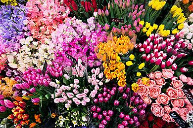 《DOTA2》“绝命孽海”更新上线 7.33四月底推出